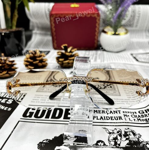 Iced Out Rimlress Sunglasses Moissanite Diamond style Evry wear