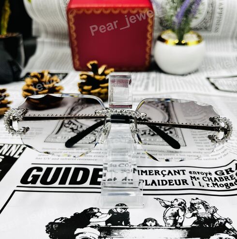 Iced Out Silver Glasses Luxury Moissanite Diamond Hip Hop Sunglasses