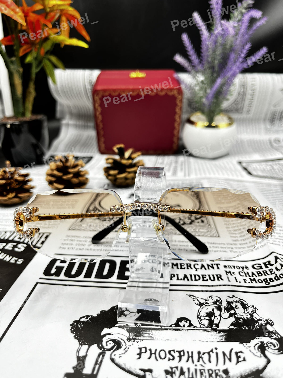 Iced Out Rimlress Sunglasses Moissanite Diamond style Evry wear